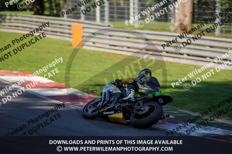 brands hatch photographs;brands no limits trackday;cadwell trackday photographs;enduro digital images;event digital images;eventdigitalimages;no limits trackdays;peter wileman photography;racing digital images;trackday digital images;trackday photos